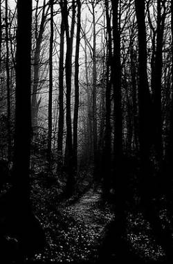 Drakonhail : Le Sentier Drakonhail : Le Sentier